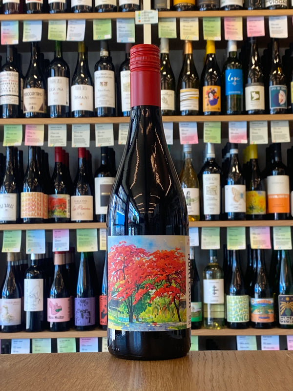 Dominio de Punctum | Nortesur Cabernet Sauvignon