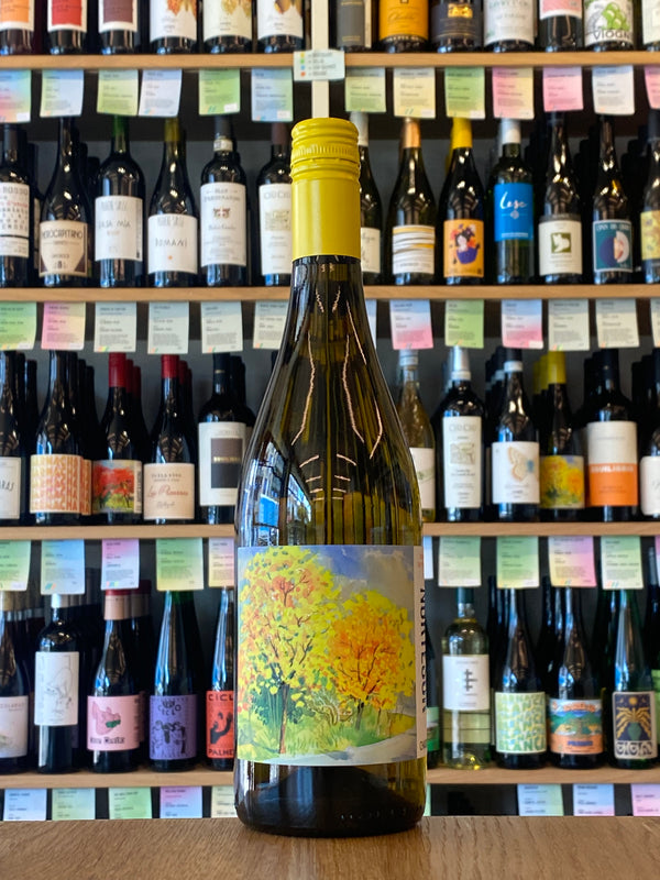 Dominio de Punctum | Nortesur Chardonnay