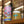 Load image into Gallery viewer, Pretty Decent x Clapton Craft | Let The Bears Pay The Bear Tax | IPA