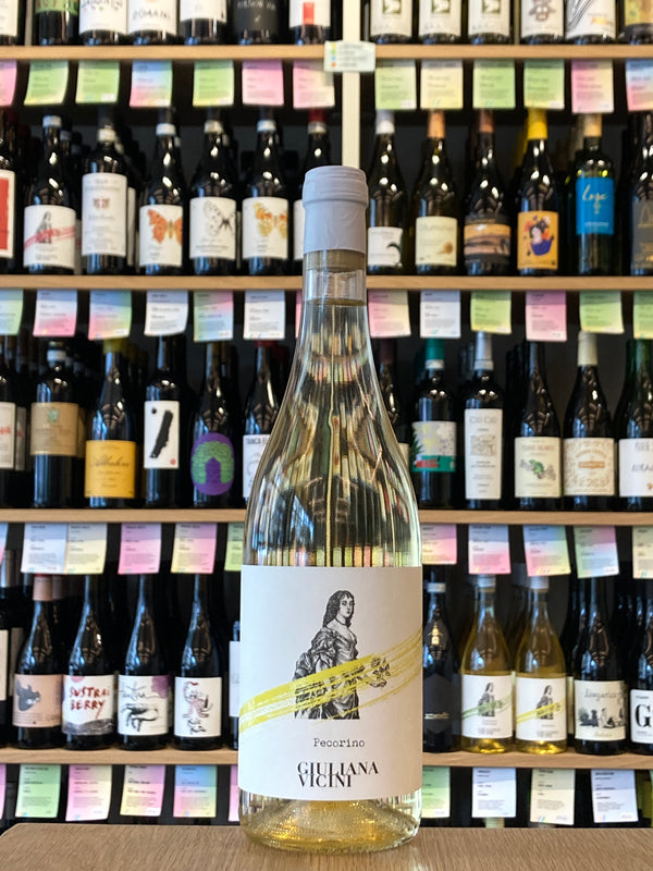 Giuliana Vicini | Pecorino