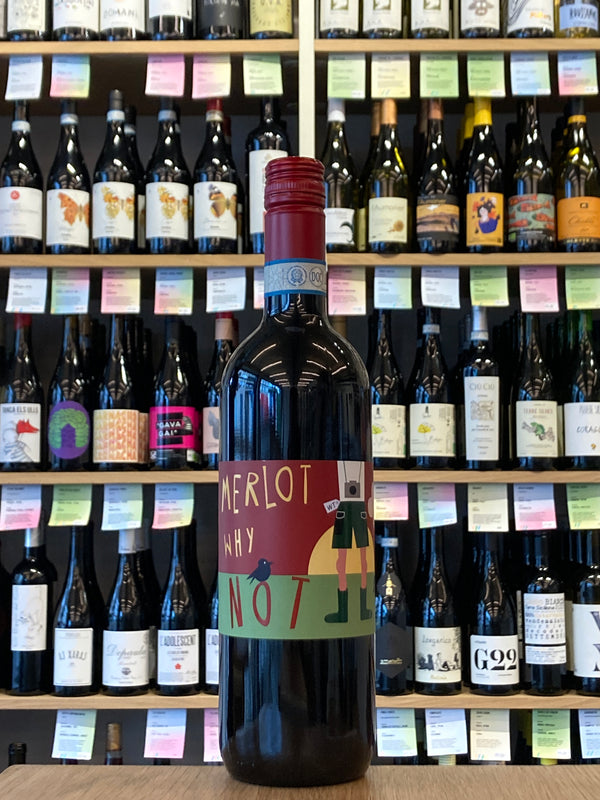 Masot | Merlot Why Not