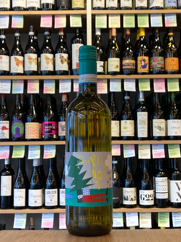Masot | Dry Under A Pinot Grigio
