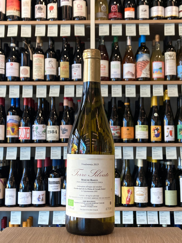 La Distesa | Terre Silvate Verdicchio