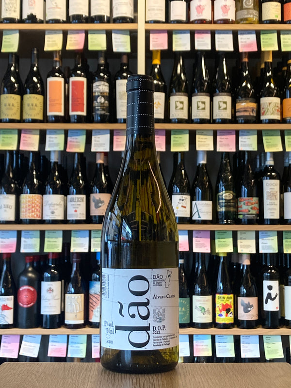 Álvaro Castro | Dão Branco