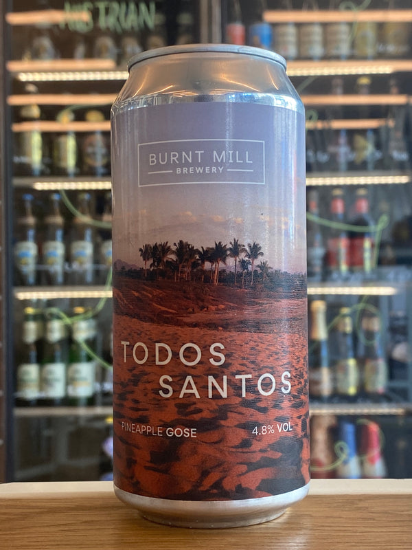 Burnt Mill | Todos Santos | Pineapple Gose