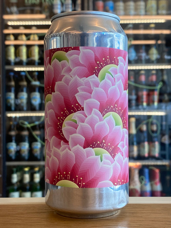 Verdant x TATE | I Would Give Her Flowers | Mexican Lager